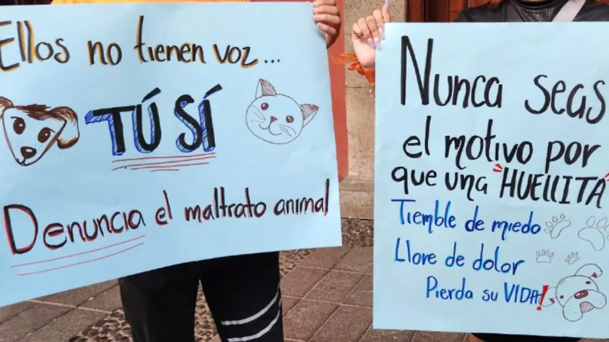 Protesta por muerte de perro en Puebla